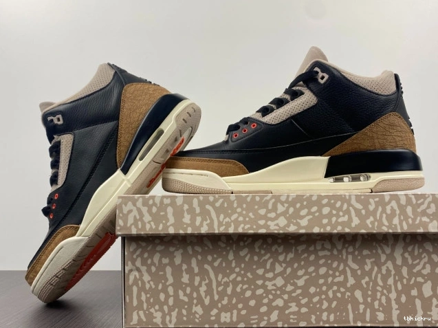 Reps TBK Elephant Desert Jordan Air CT8532-008 3 0706